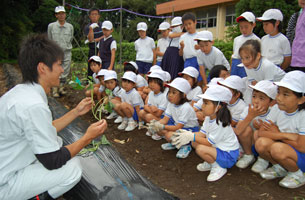 学校の畑で栽培指導